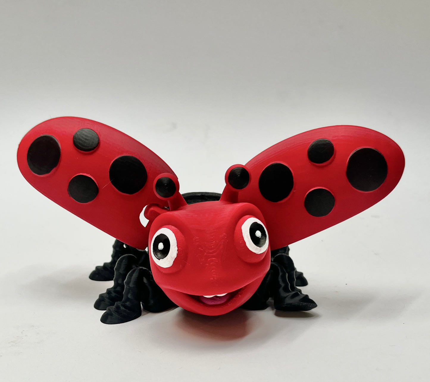 LADYBUG PiviPet