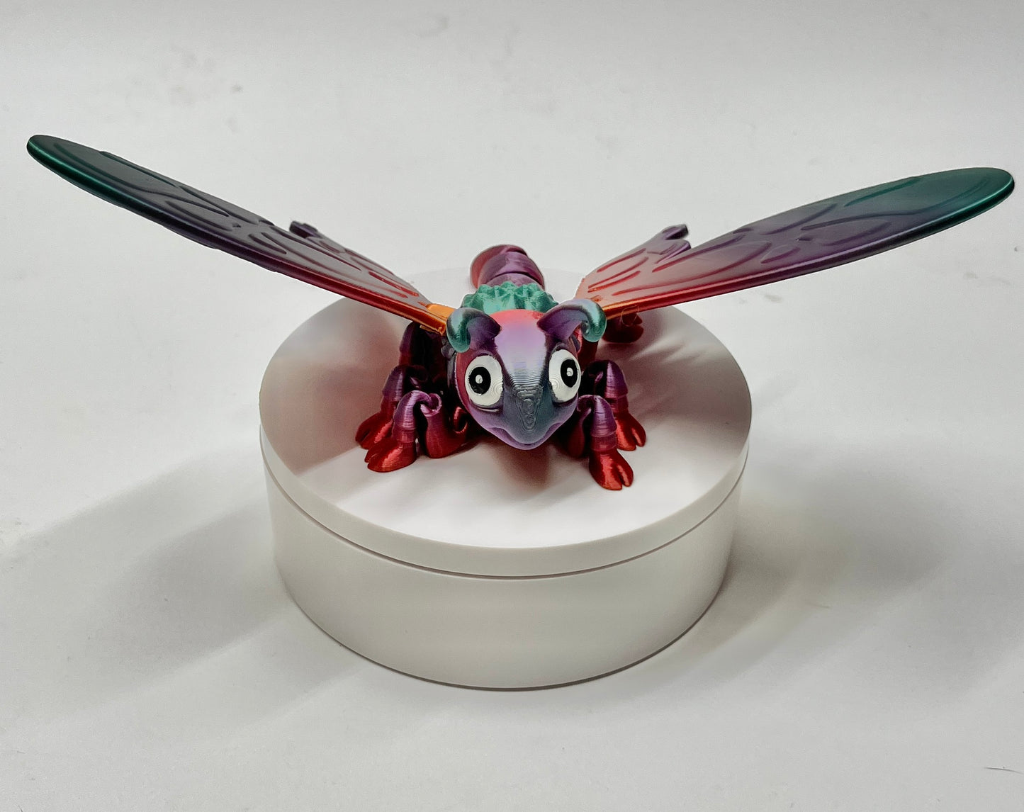 BUTTERFLY PiviPet