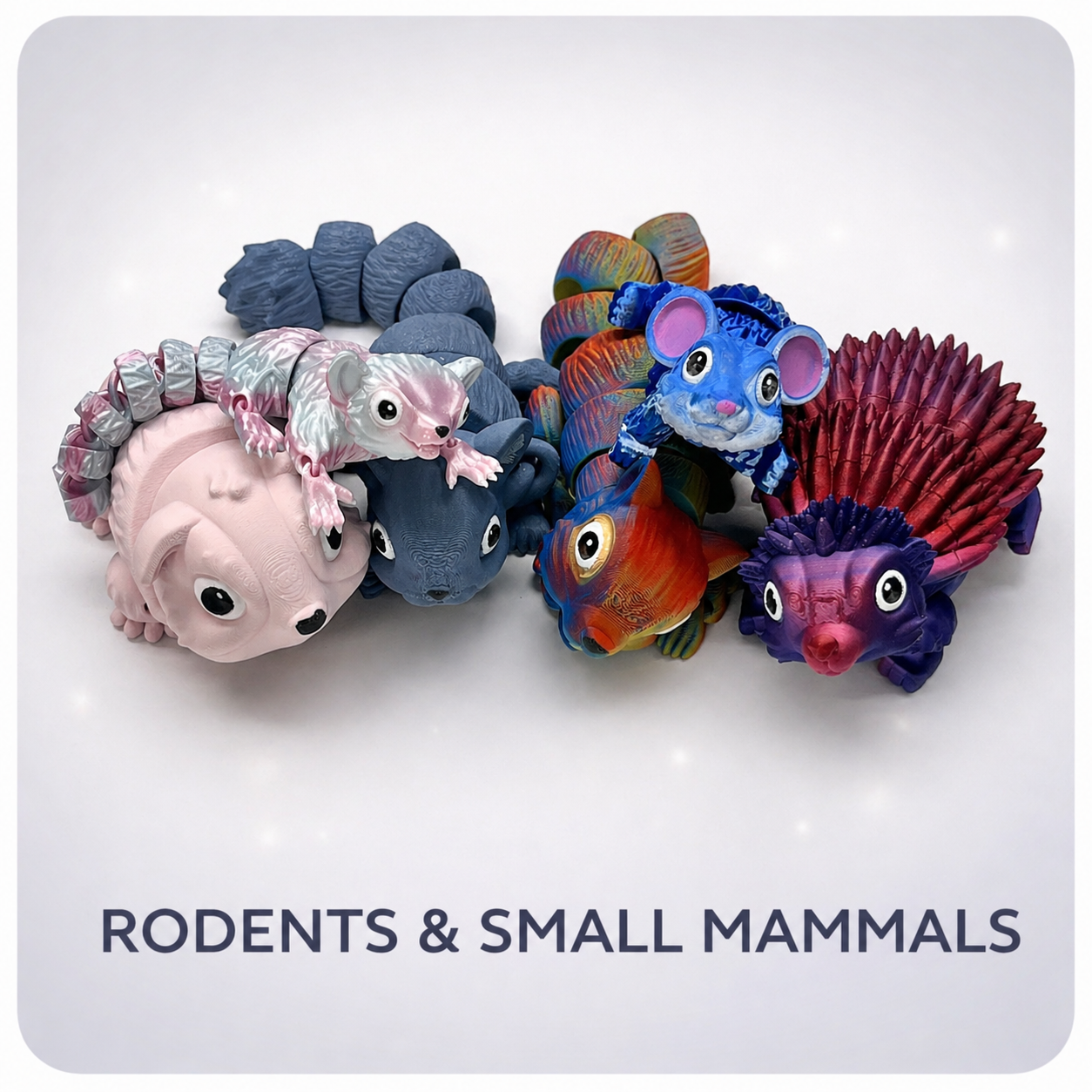 Rodents & Small Mammals