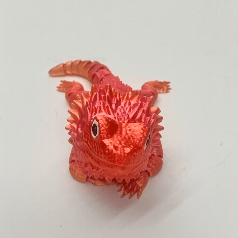BEARDED DRAGON PiviPet