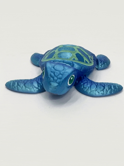 TURTLE PiviPet