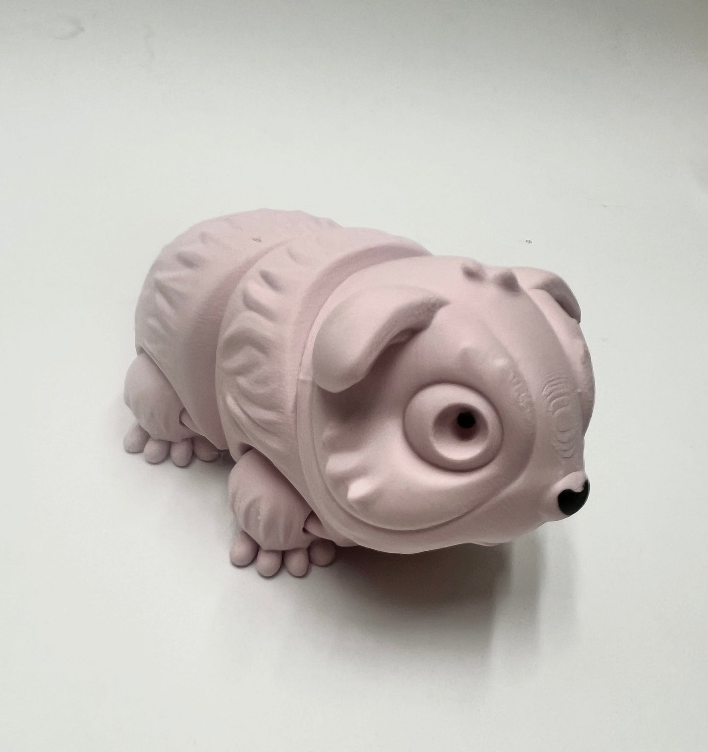 GUINEA PIG PiviPet