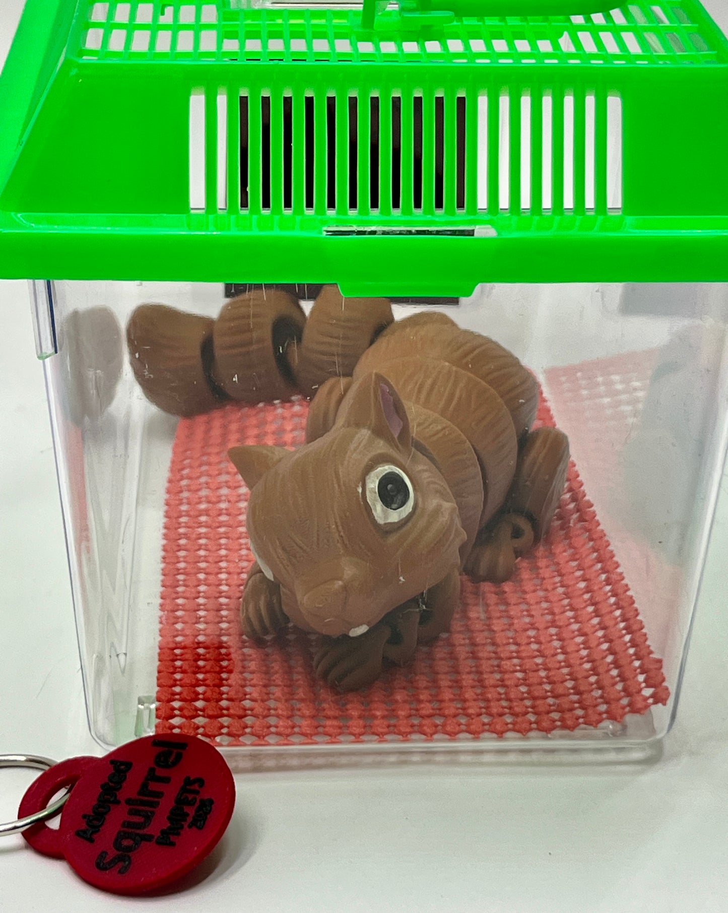 SQUIRREL PiviPet