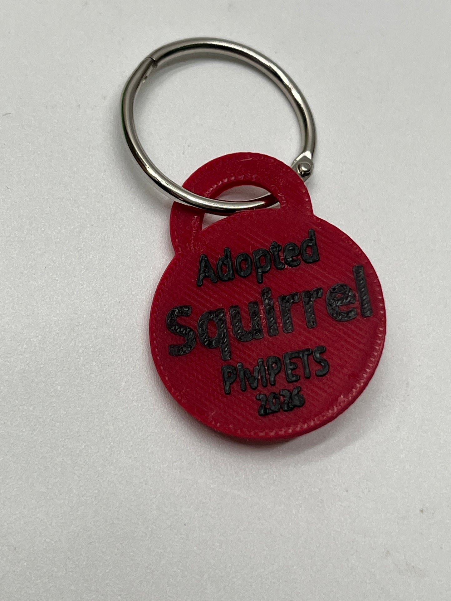 SQUIRREL PiviPet