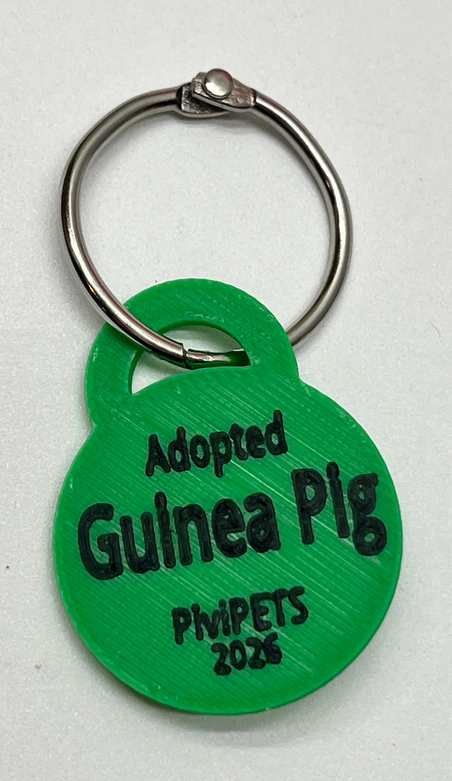 GUINEA PIG PiviPet