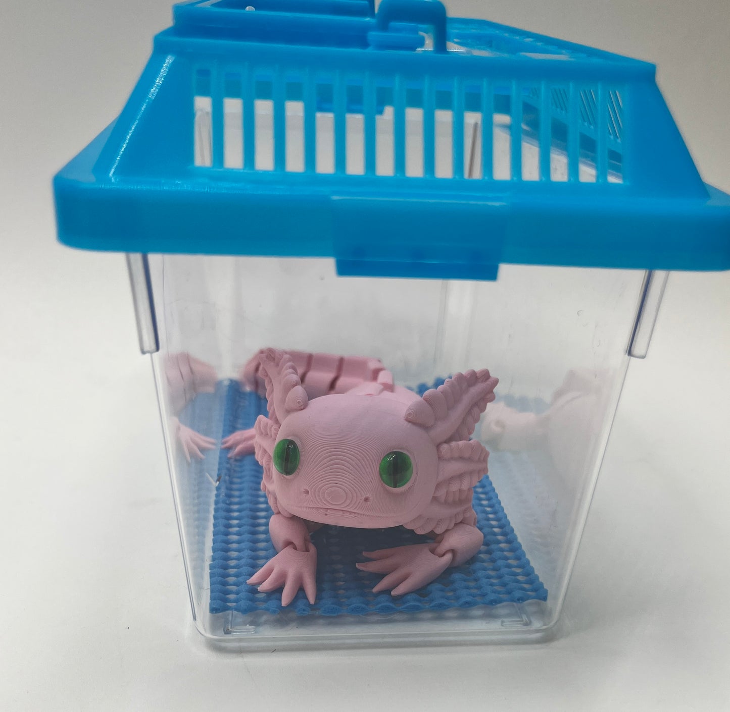 AXOLOTL PiviPet