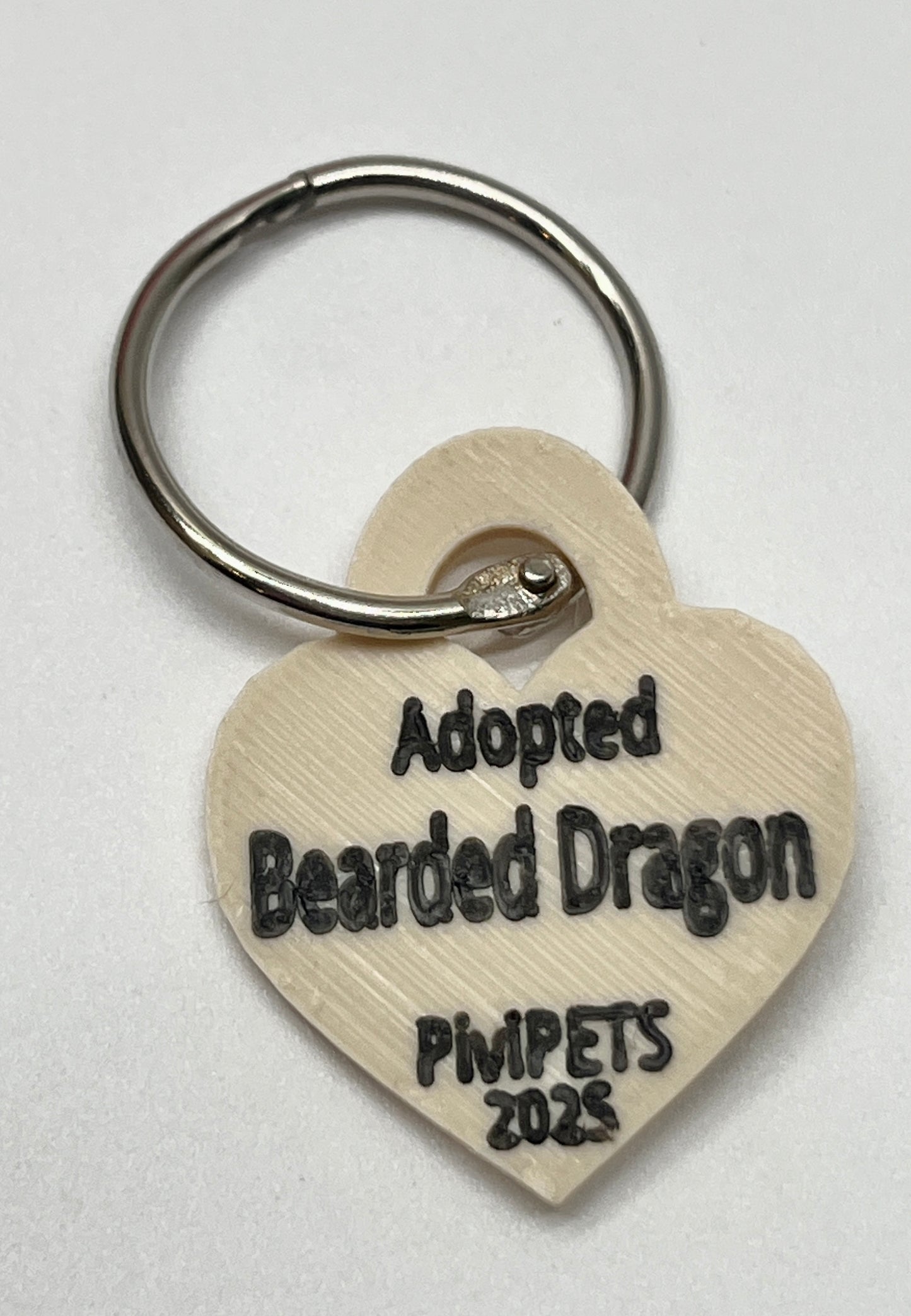 BEARDED DRAGON PiviPet