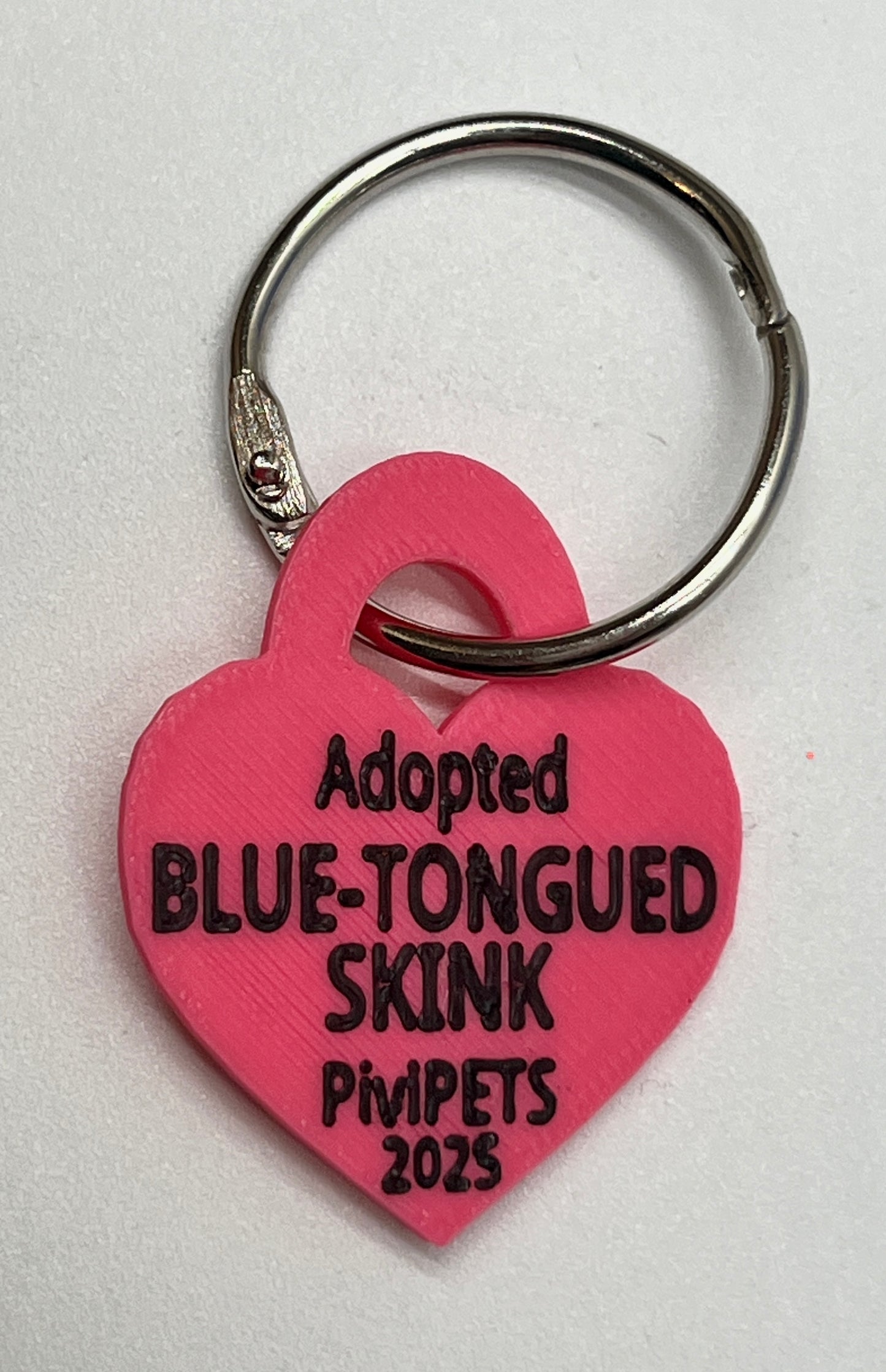 BLUE-TONGUED SKINK PiviPet