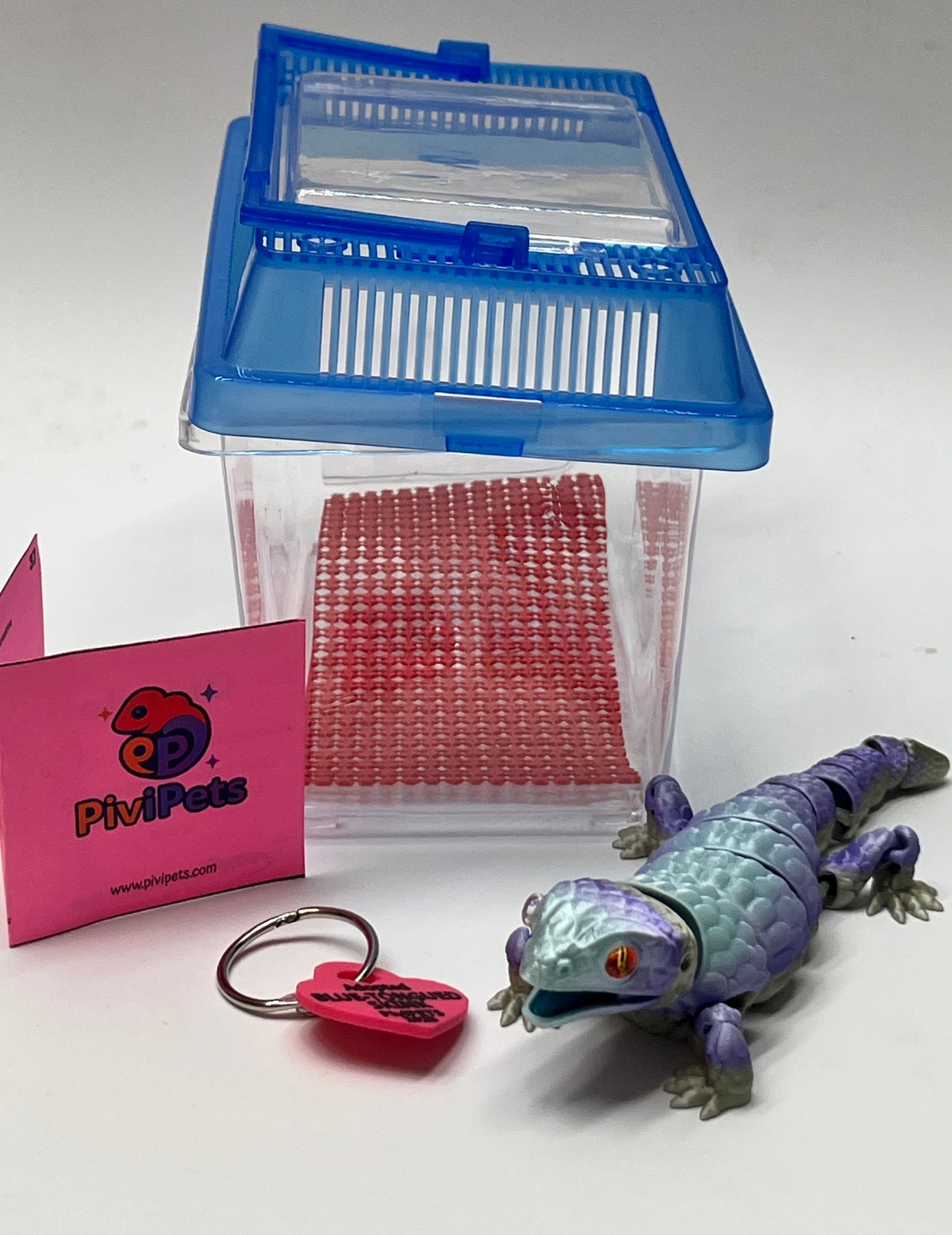 BLUE-TONGUED SKINK PiviPet