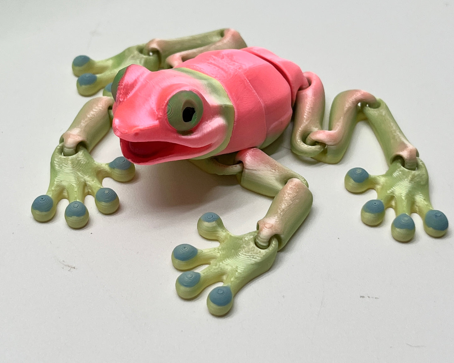 TREE FROG PiviPet