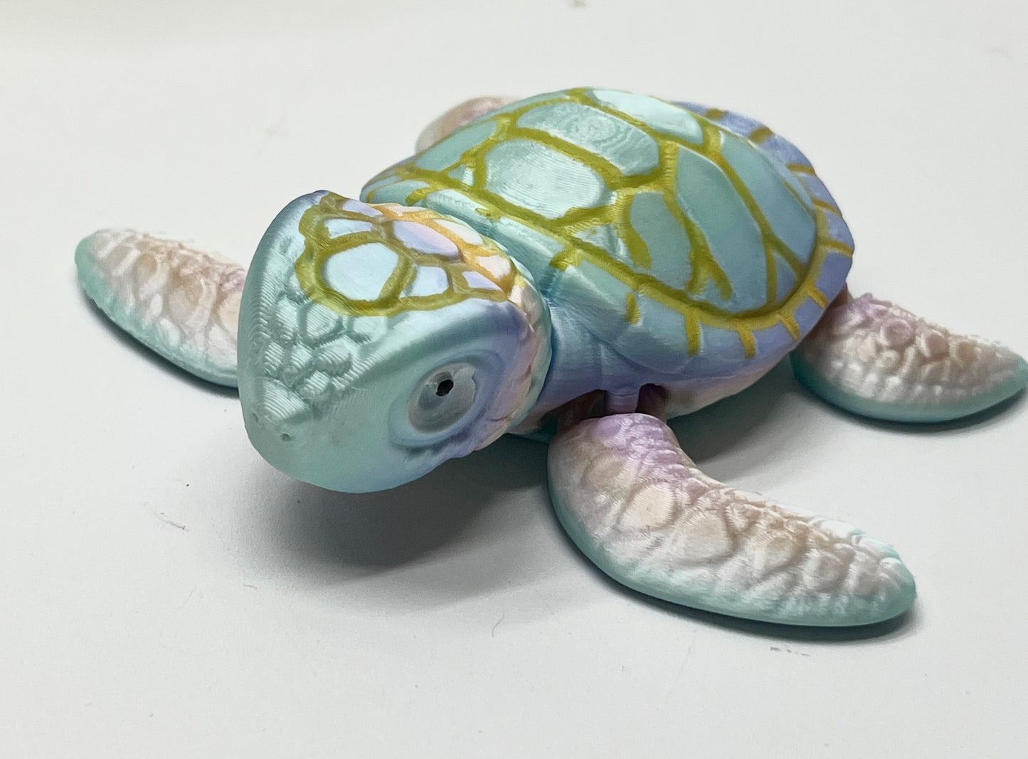 TURTLE PiviPet