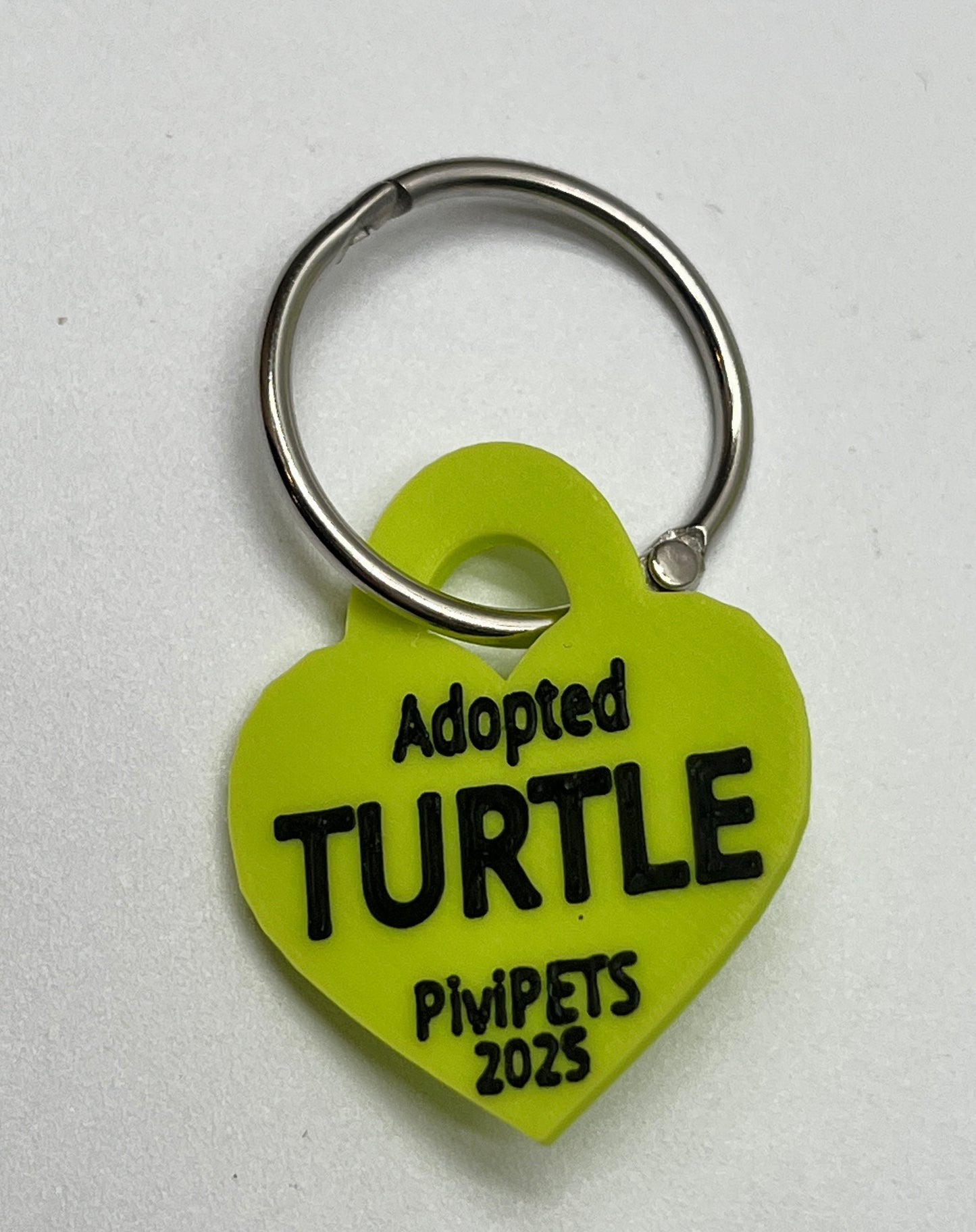 TURTLE PiviPet