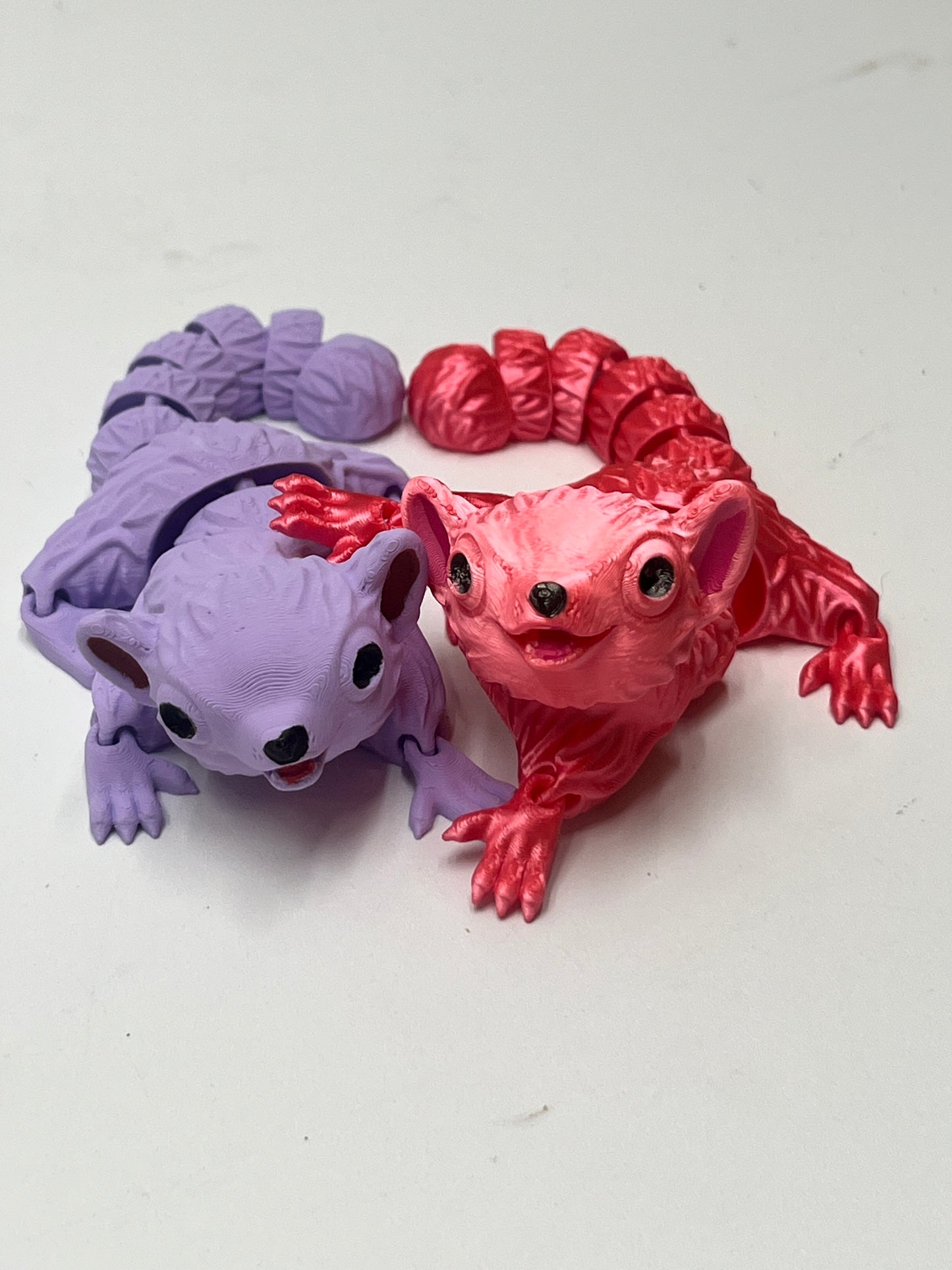 SUGAR GLIDERS PiviPet