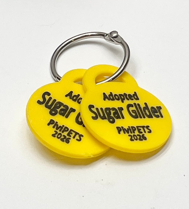 SUGAR GLIDERS PiviPet