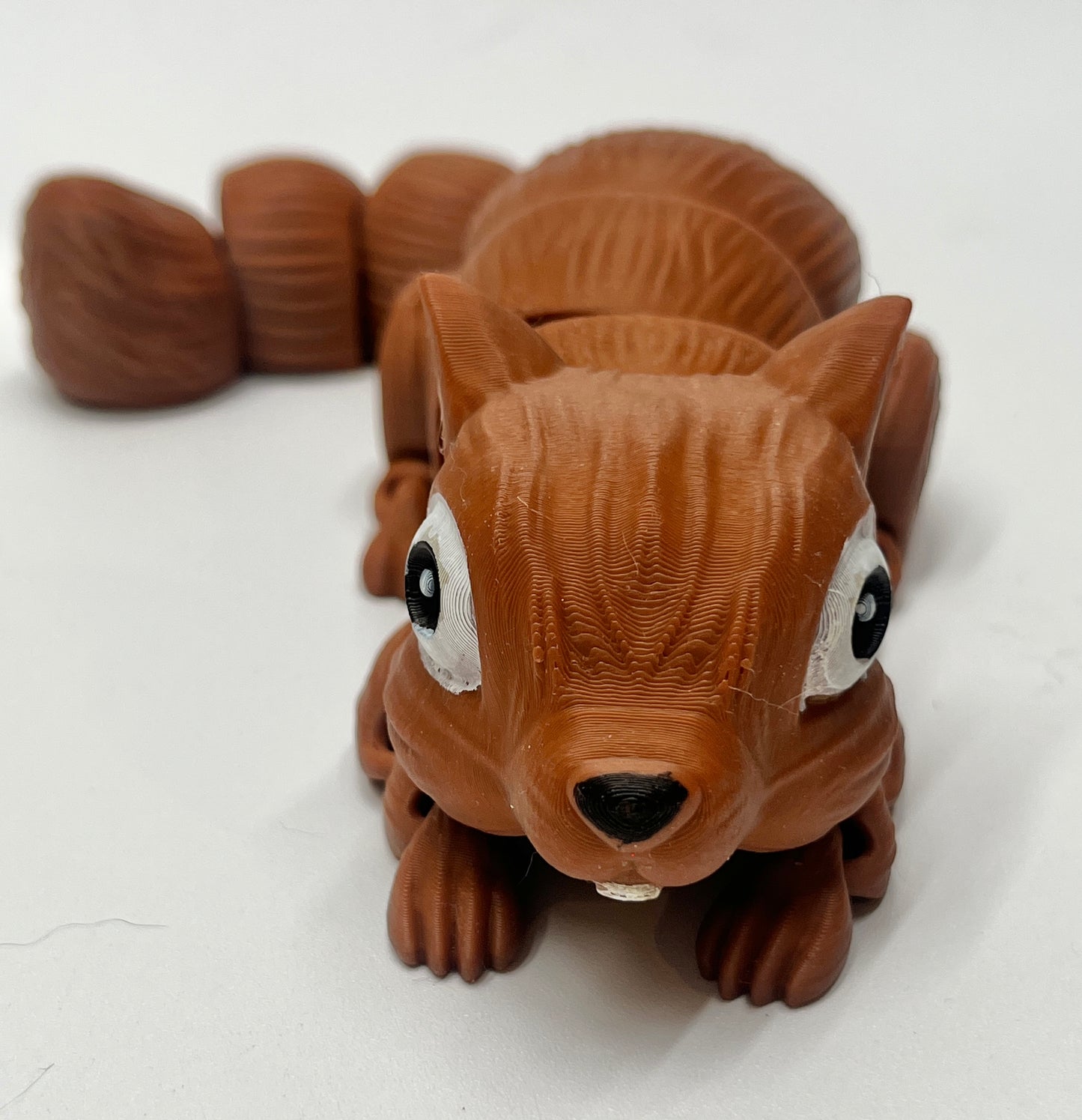 SQUIRREL PiviPet