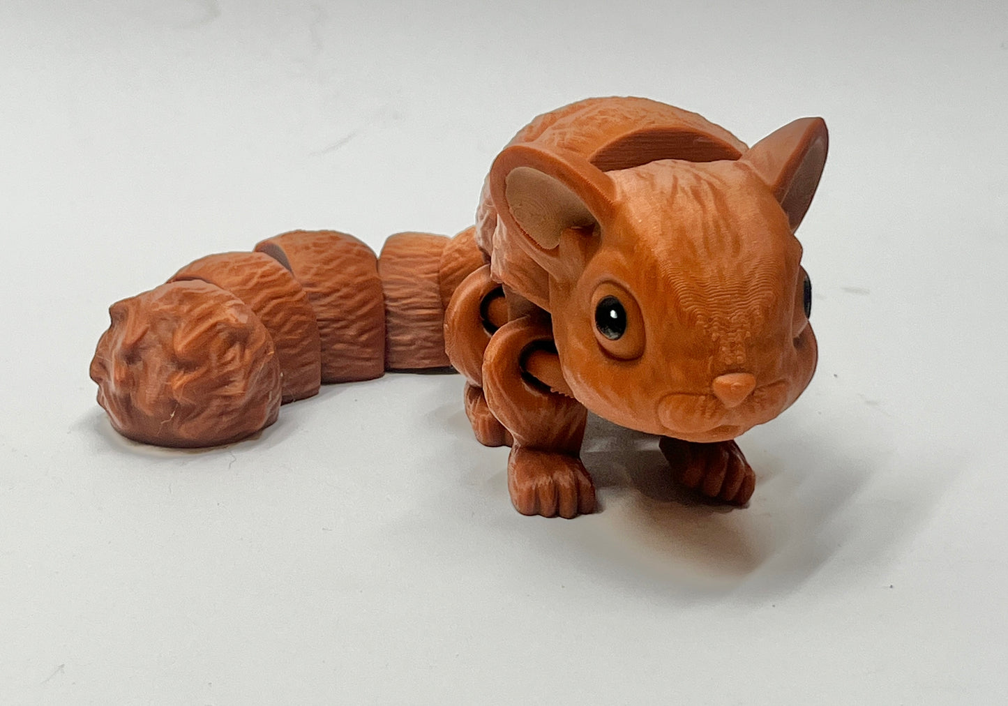 CHINCHILLA PiviPet
