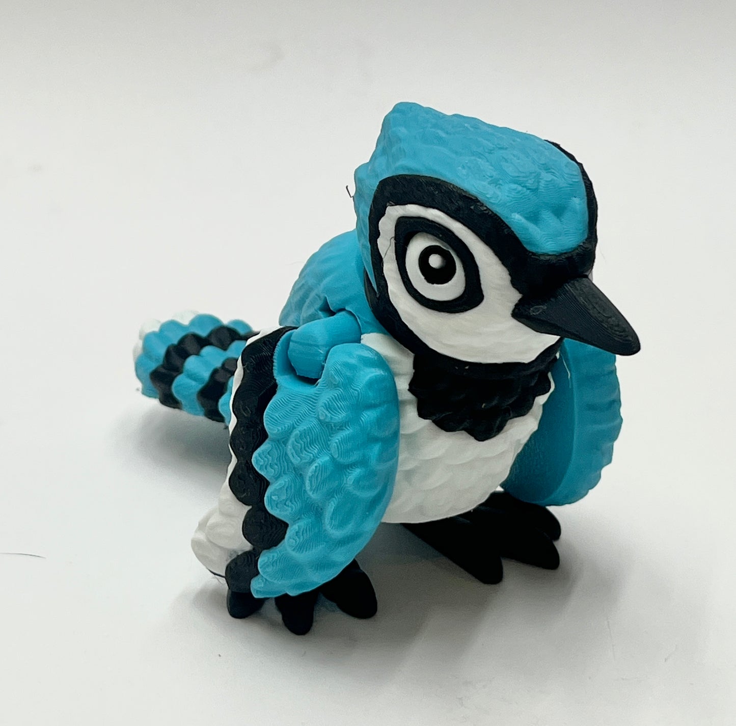 BLUE JAY PiviPet