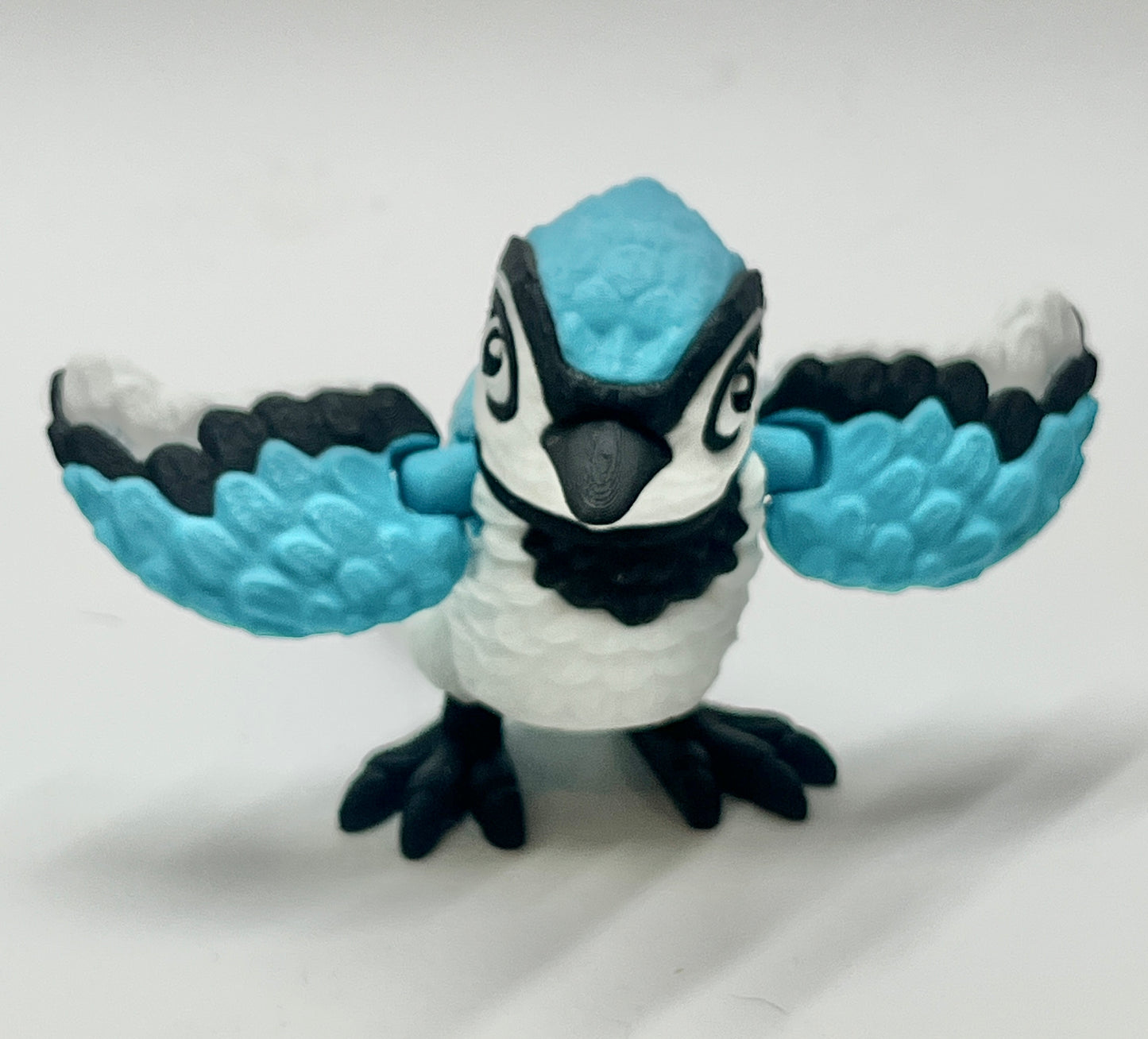 BLUE JAY PiviPet