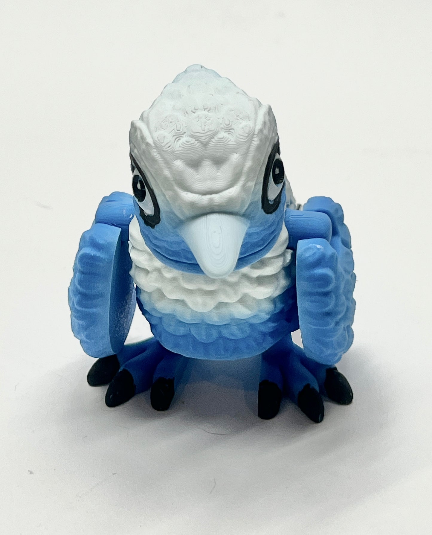 BLUE JAY PiviPet