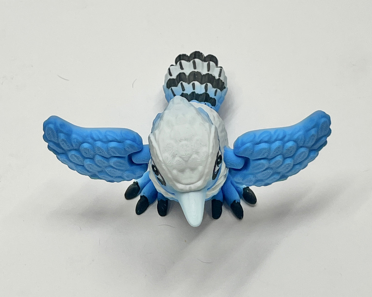 BLUE JAY PiviPet