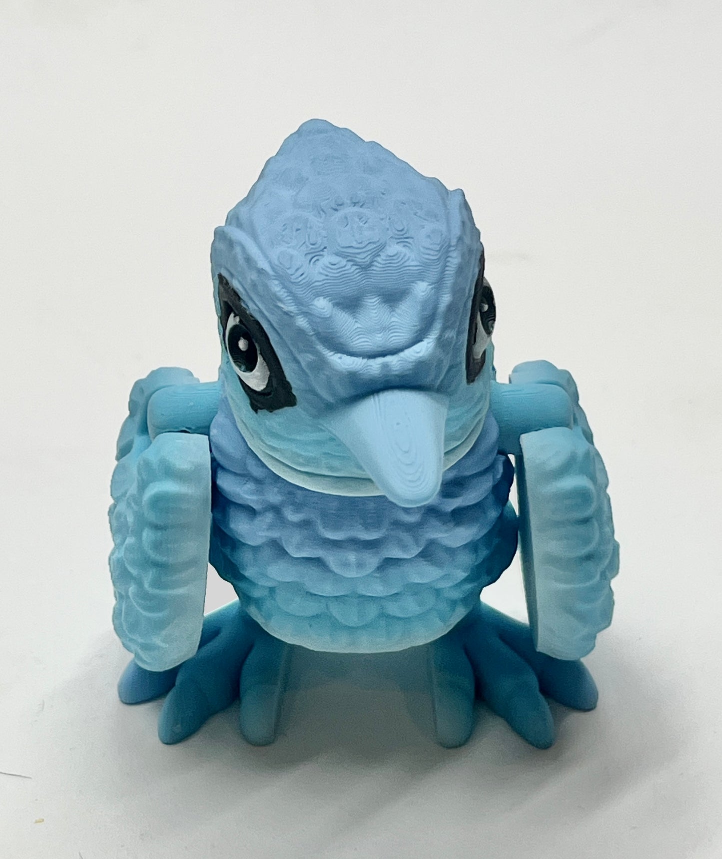 BLUE JAY PiviPet