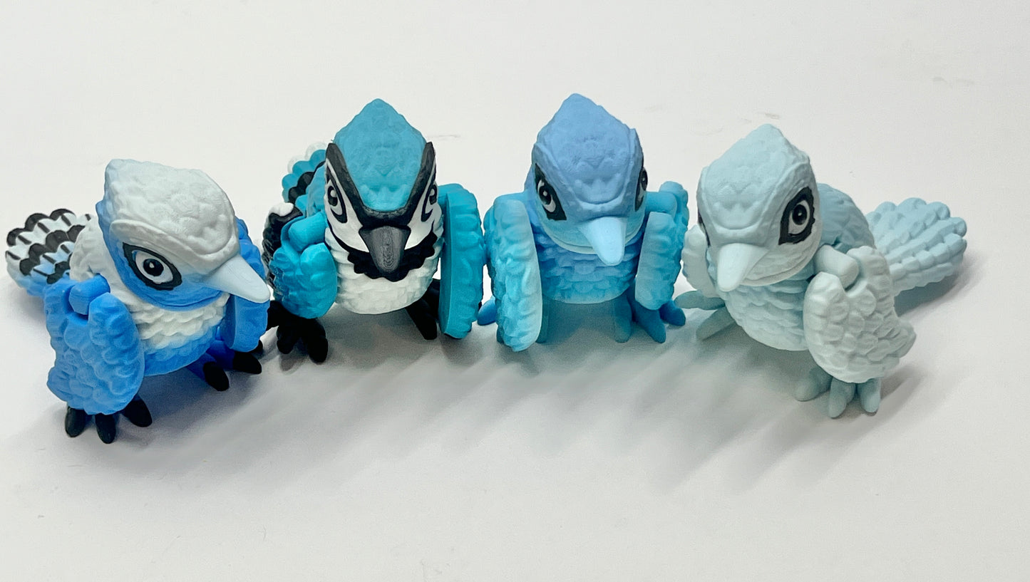 BLUE JAY PiviPet