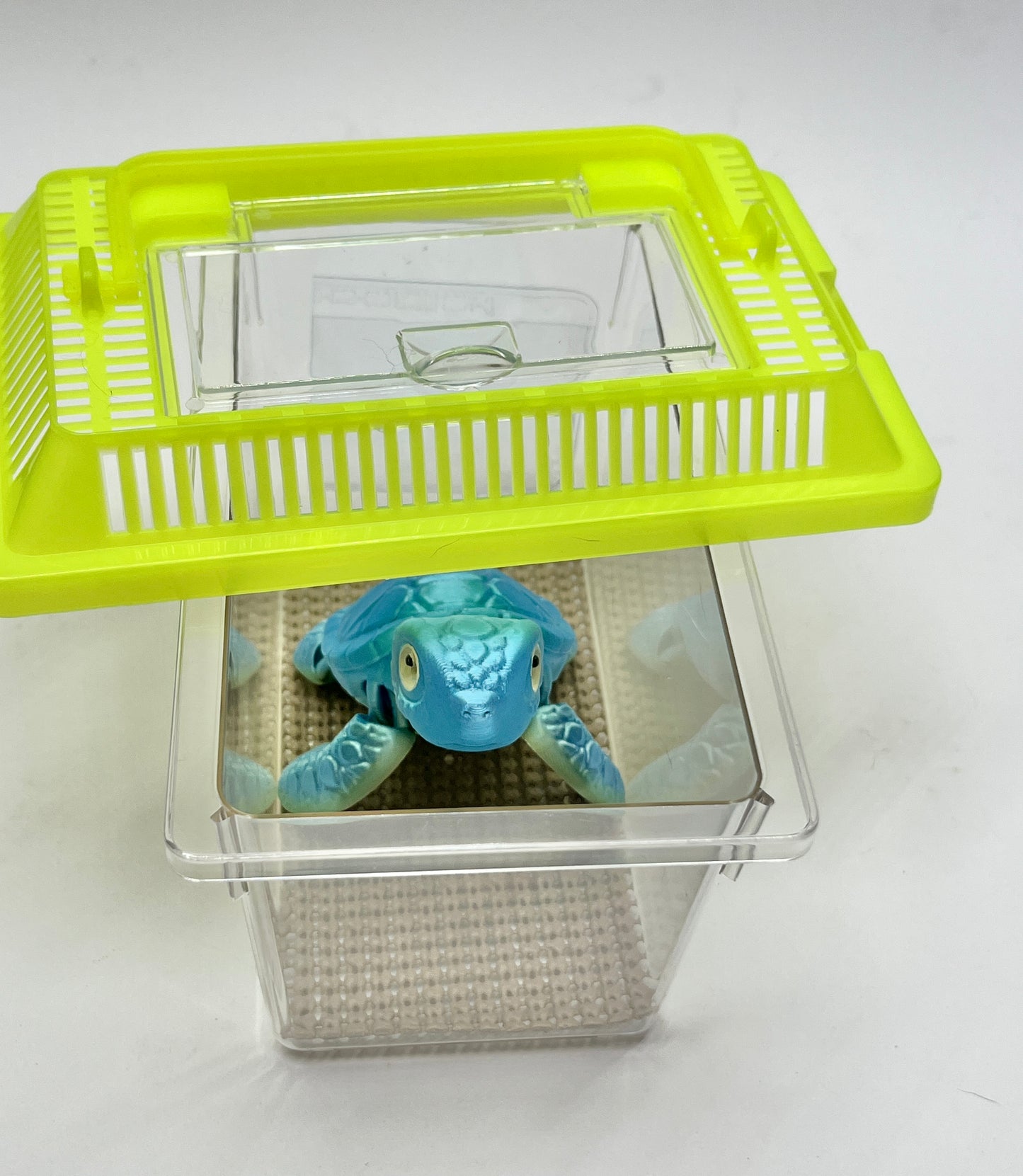 TURTLE PiviPet