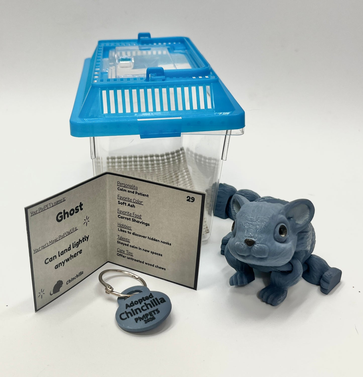 CHINCHILLA PiviPet