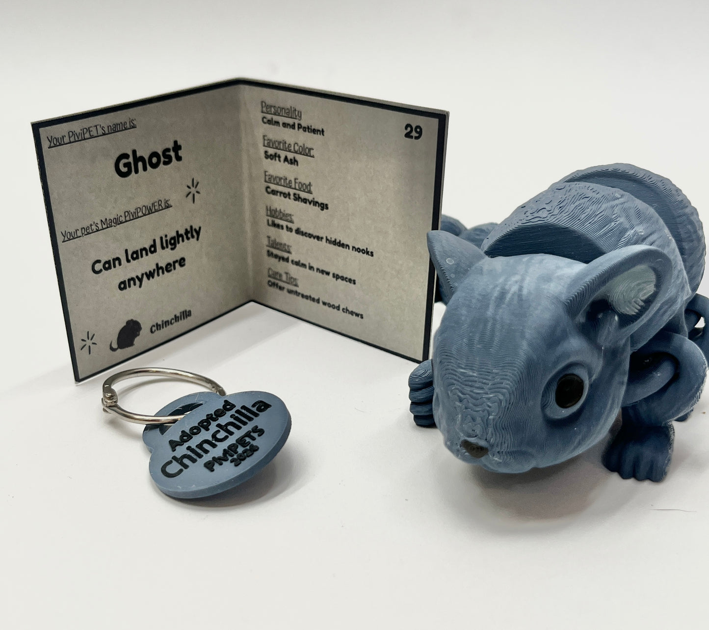 CHINCHILLA PiviPet