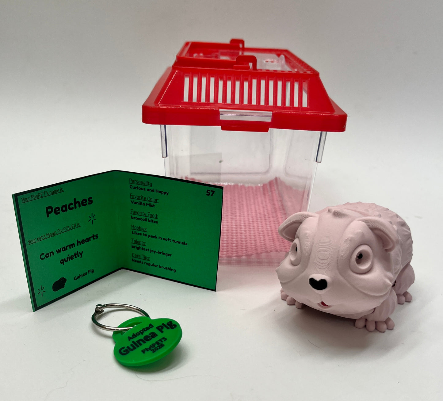 GUINEA PIG PiviPet