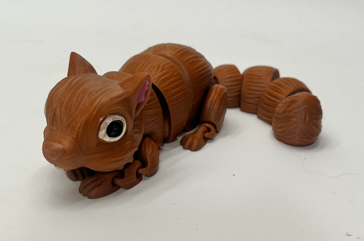 SQUIRREL PiviPet