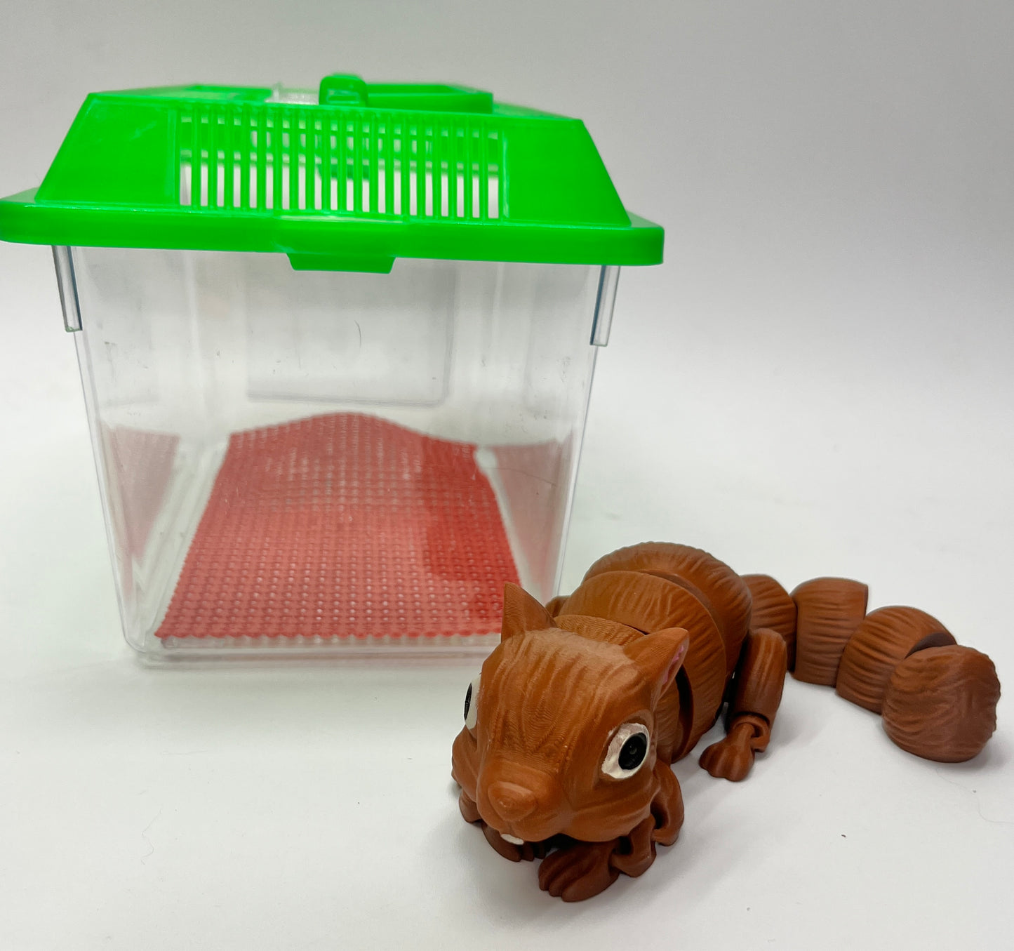 SQUIRREL PiviPet