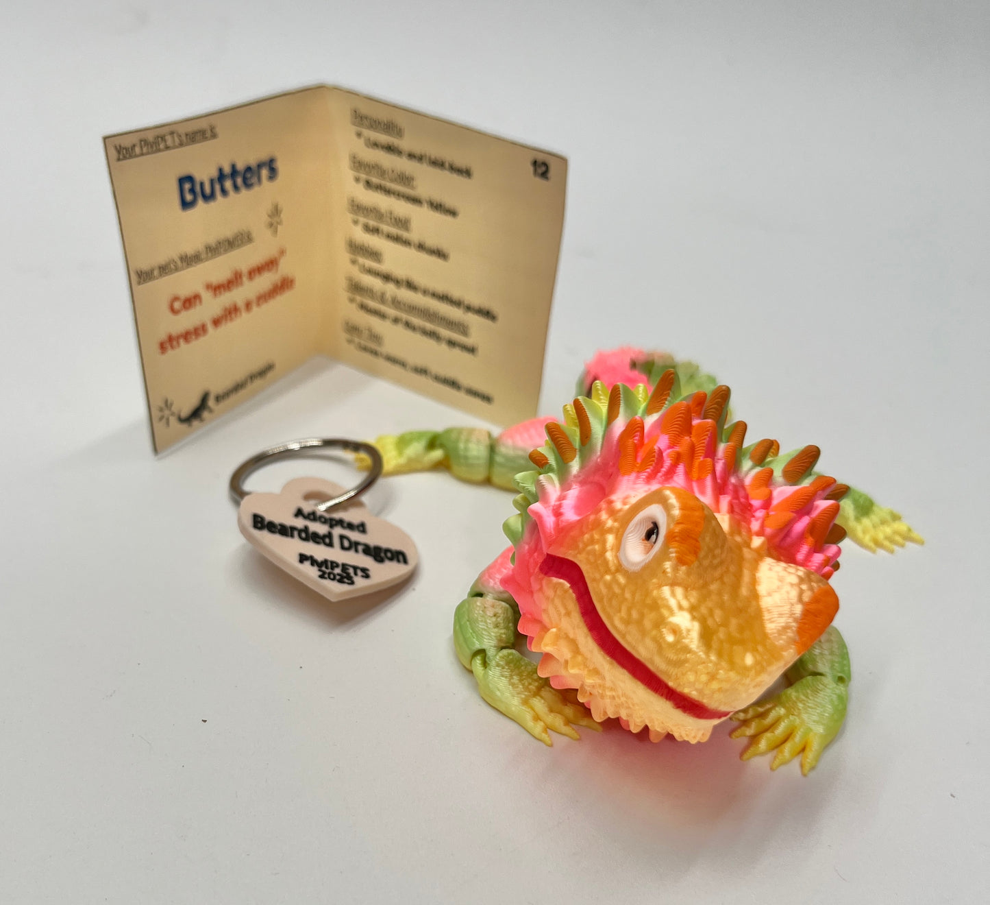 BEARDED DRAGON PiviPet