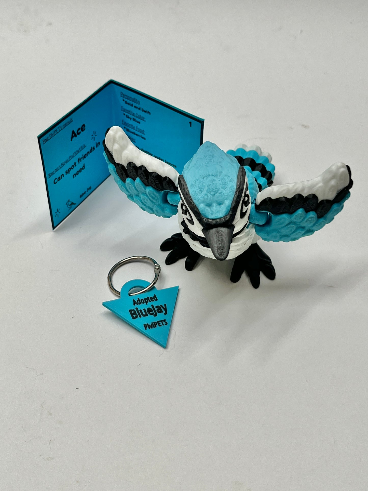 BLUE JAY PiviPet