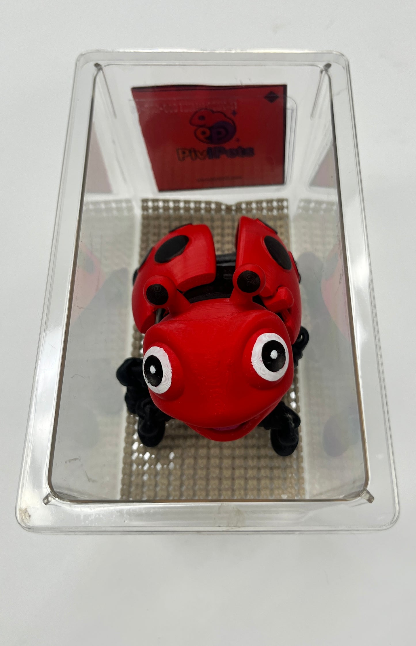 LADYBUG PiviPet