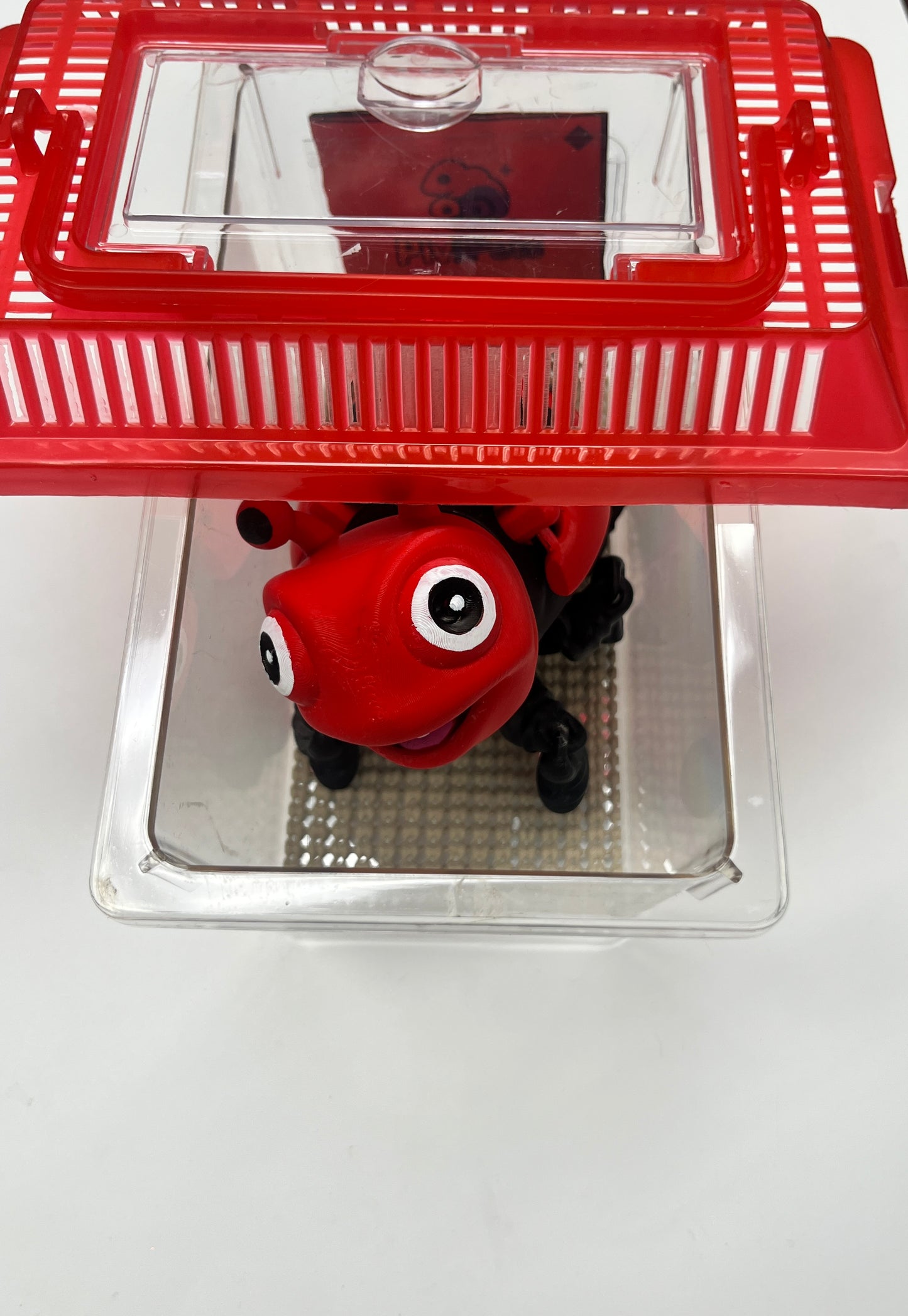 LADYBUG PiviPet