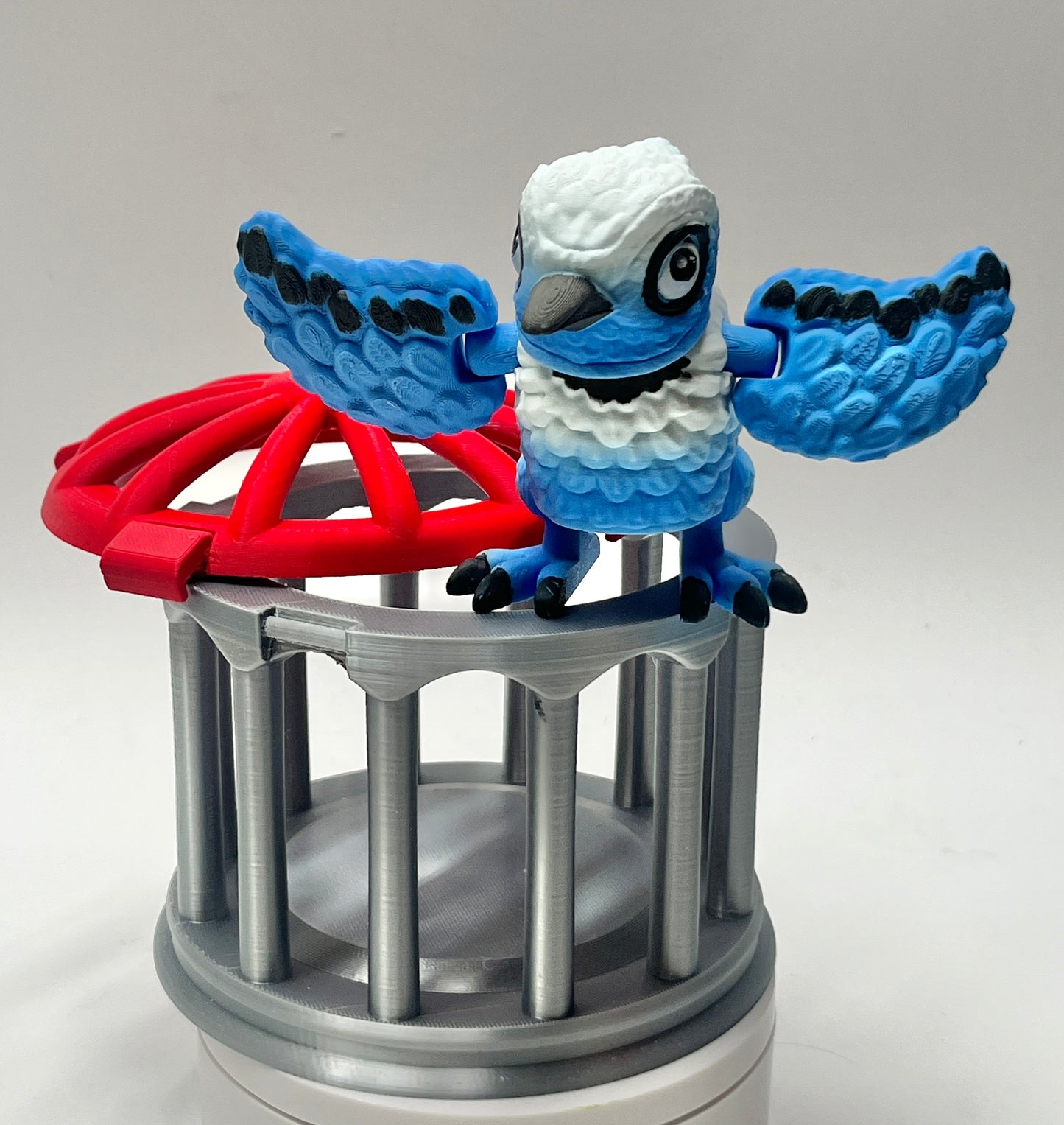 BLUE JAY PiviPet