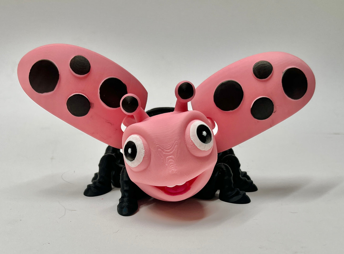 LADYBUG PiviPet