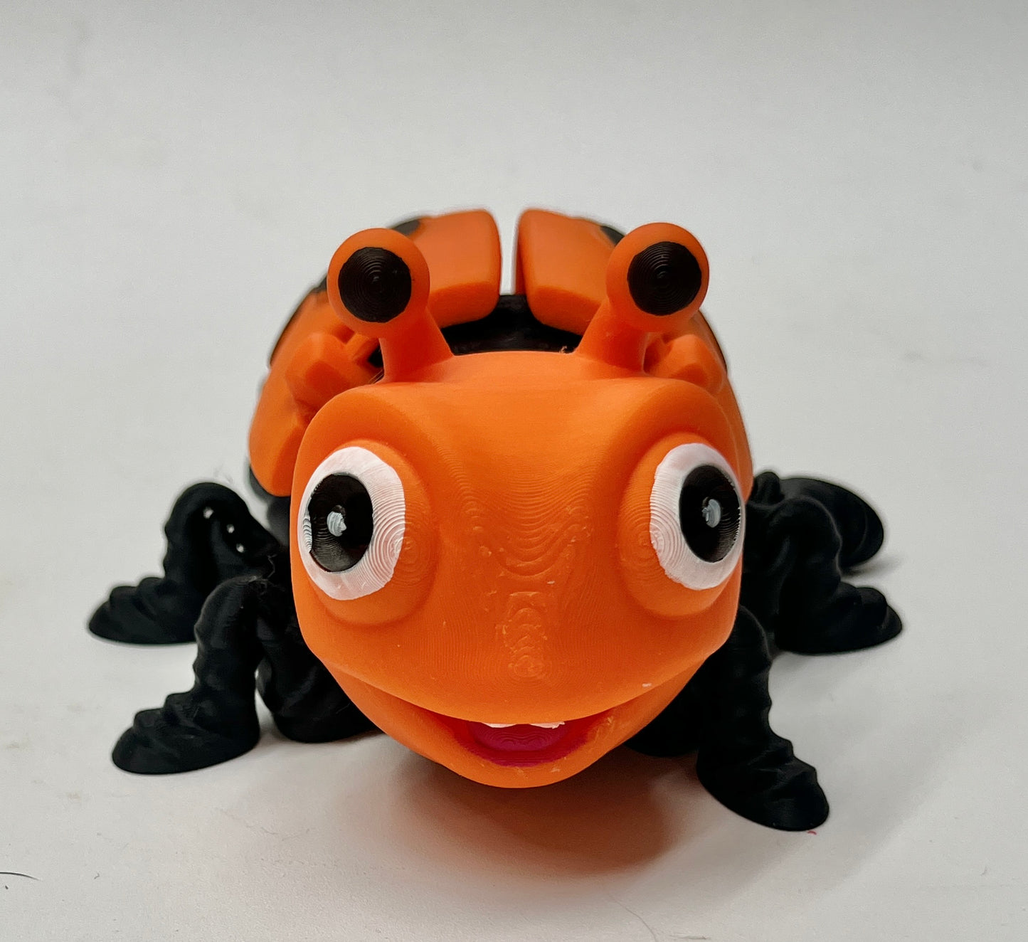 LADYBUG PiviPet