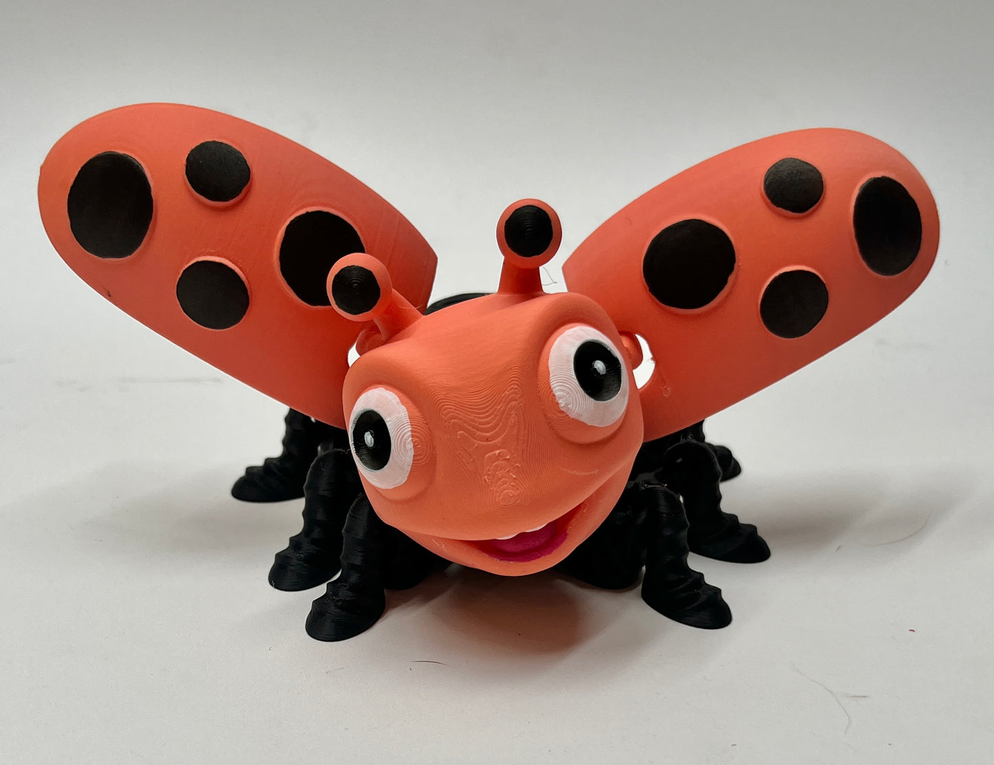 LADYBUG PiviPet