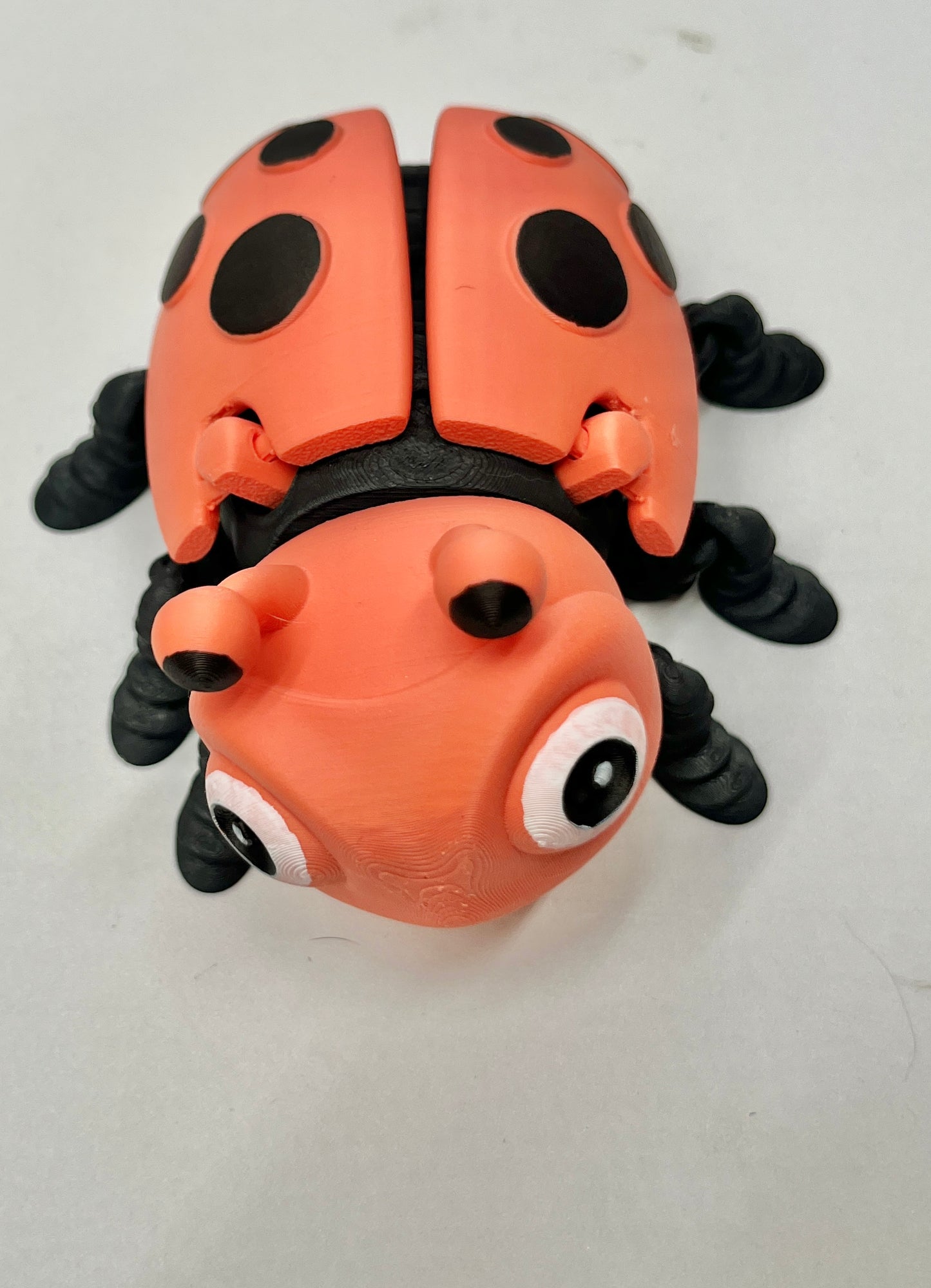 LADYBUG PiviPet