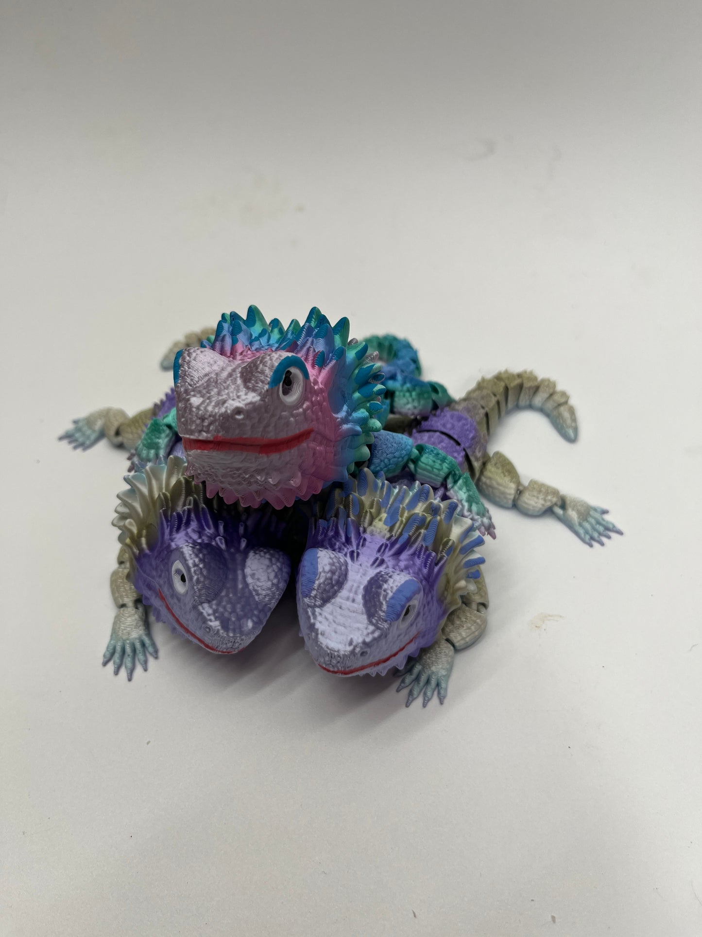 BEARDED DRAGON PiviPet