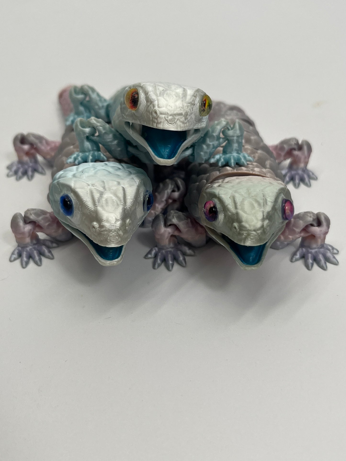 BLUE-TONGUED SKINK PiviPet