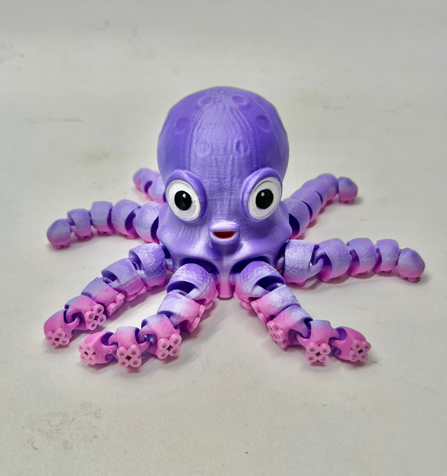 OCTOPUS PiviPet