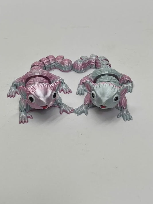 SUGAR GLIDERS PiviPet