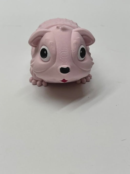 GUINEA PIG PiviPet