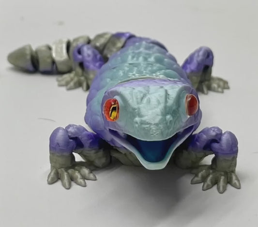 BLUE-TONGUED SKINK PiviPet